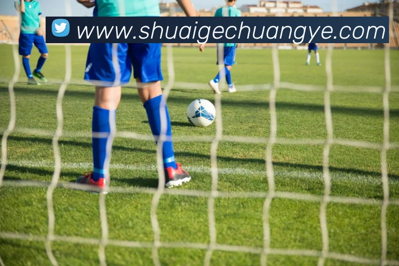 互动解说服务